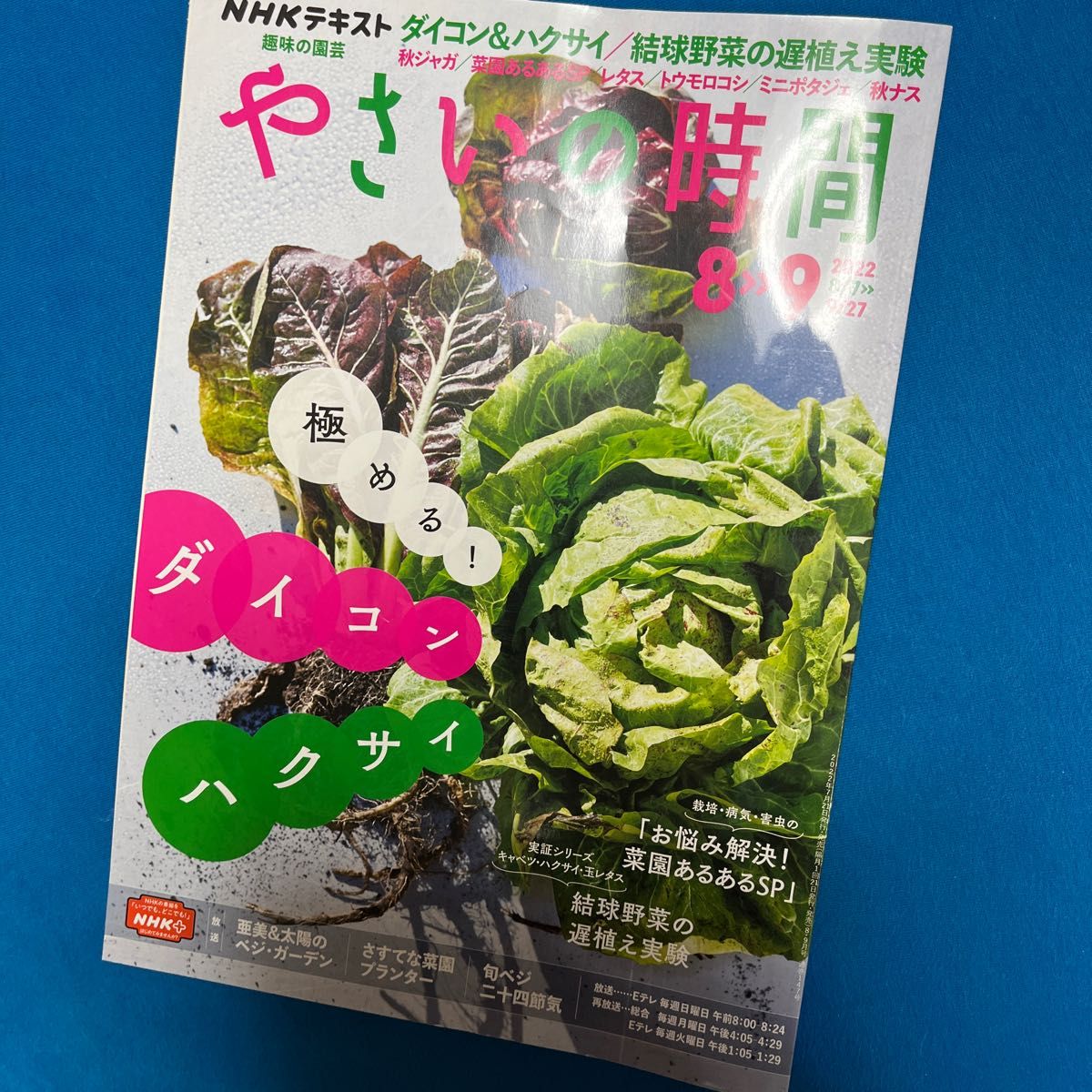 NHK 趣味の園芸やさいの時間 2022年8月号