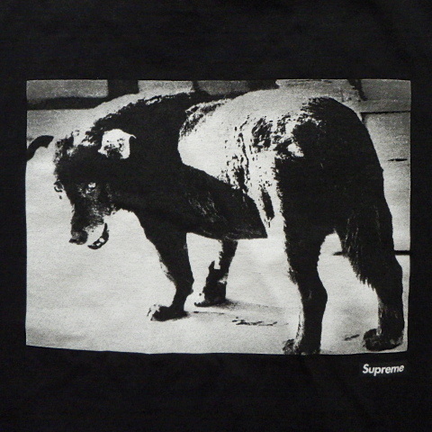 ★ 22SS Supreme シュプリーム Daido Moriyama Dog Tee 森山大道 ドッグ Tシャツ 写真家 三沢の犬 犬 (ブラック黒S)NDN_画像3