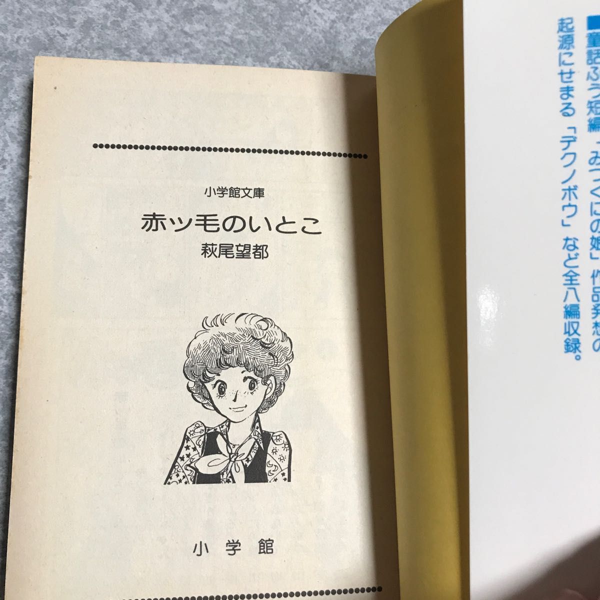 萩尾望都　12冊　小学館文庫　秋田漫画文庫　集英社漫画文庫