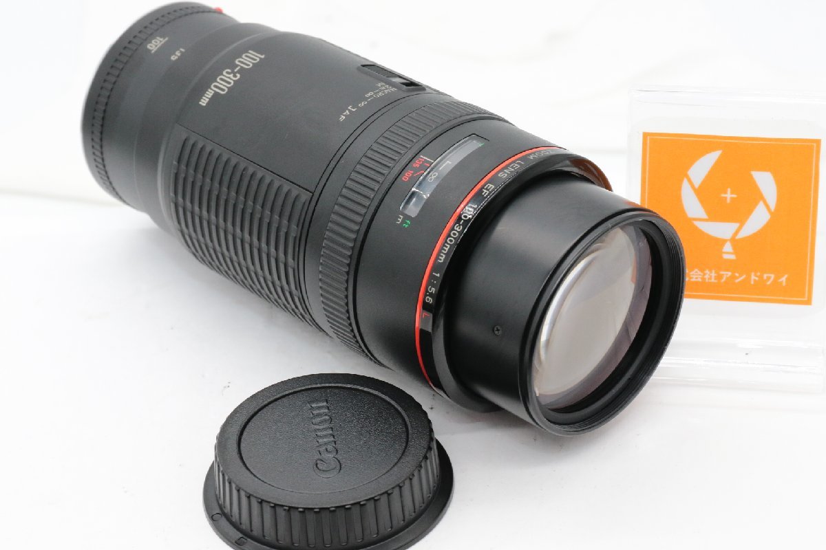 低価格 キャノン 同梱歓迎【良品/動作品】CANON EF #4065 L F5.6 100