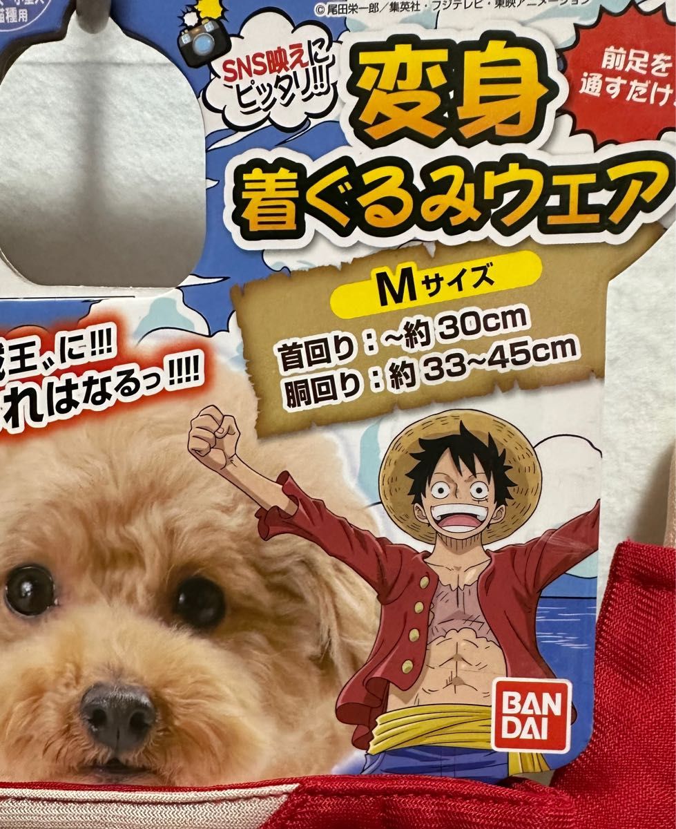 ワンピース ルフィ チョッパー のコスプレ愛犬や猫ちゃんの変身着ぐるみウエアー Mサイズ 2着セット [新品 未使用]