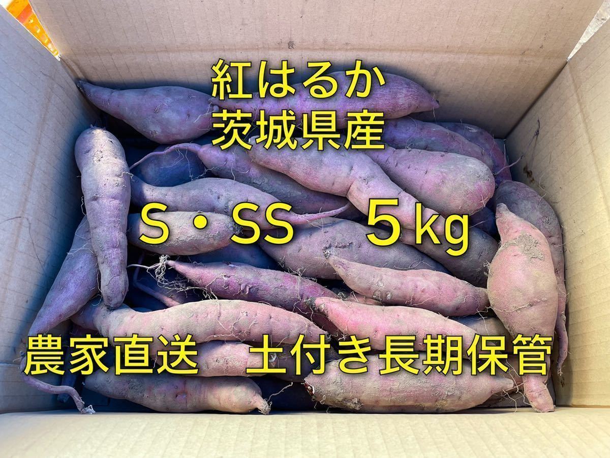 土付き　紅はるか　べにはるか　S・SSサイズ(50〜200g)　5kg さつまいも 茨城県産　5キロ　長期保管向け　追熟　熟成向き_画像1