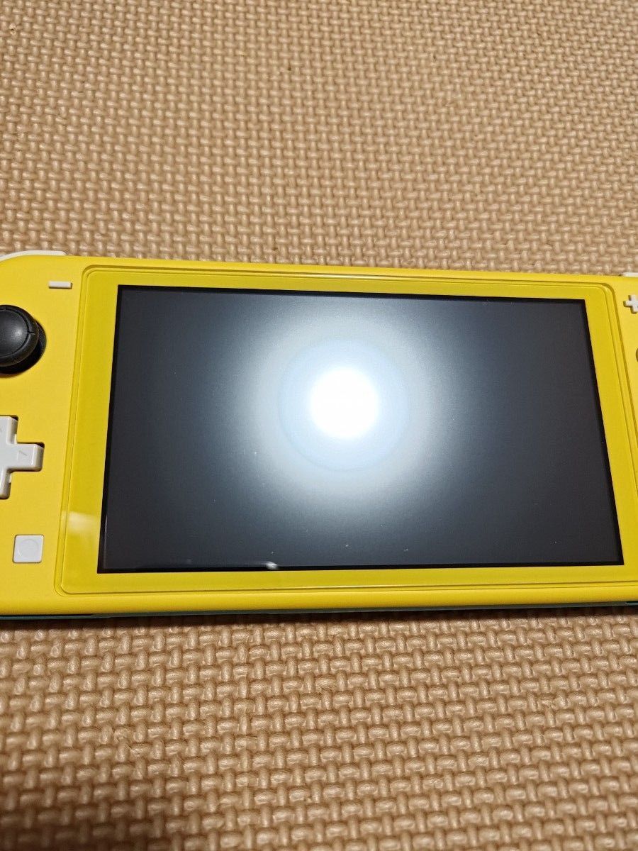 特別ゲーム・おもちゃ・グッズ - Nintendo Switch Lite ザシアン