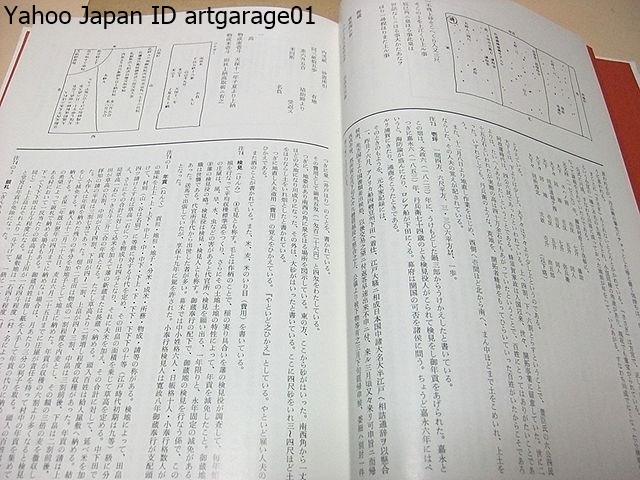 丹兵衛日記・阿波の古文書/世界善悪年代記/吉野川の大洪水高越山での雨乞い等々どうしても一書にまとめたいという気持ちに駆り立てられた_画像4