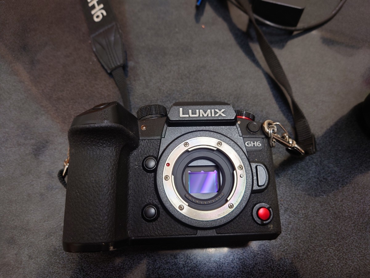 卸し売り購入 LUMIX GH6 パナソニック - www.focuslogisticsinc.com