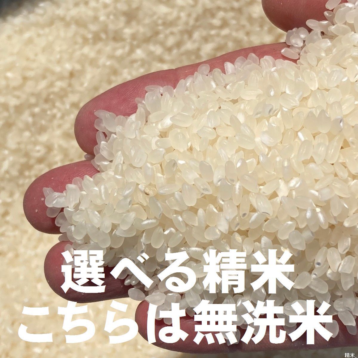 正味 20Kg 令和4年 玄米 選べる精米7段階 ⇒ 無洗米 上白米 分 正味 20Kg 令和4年 玄米 選べる精米7段階 ⇒ 無洗米 上白米 分