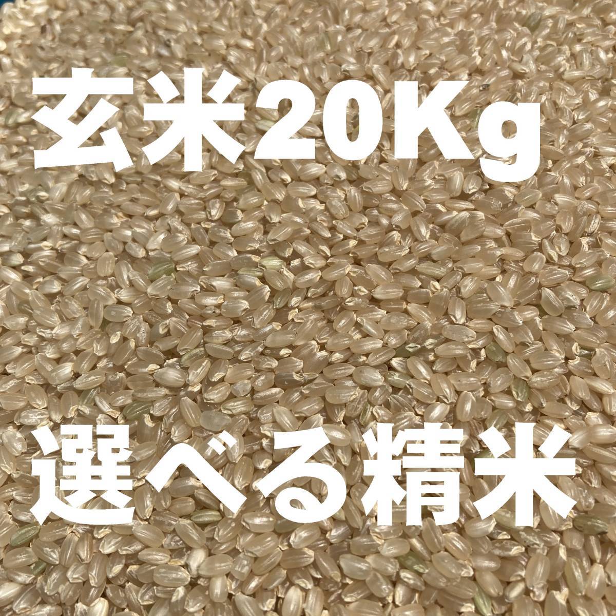 正味 20Kg 令和4年 玄米 選べる精米7段階 ⇒ 無洗米 上白米 分 正味 20Kg 令和4年 玄米 選べる精米7段階 ⇒ 無洗米 上白米 分