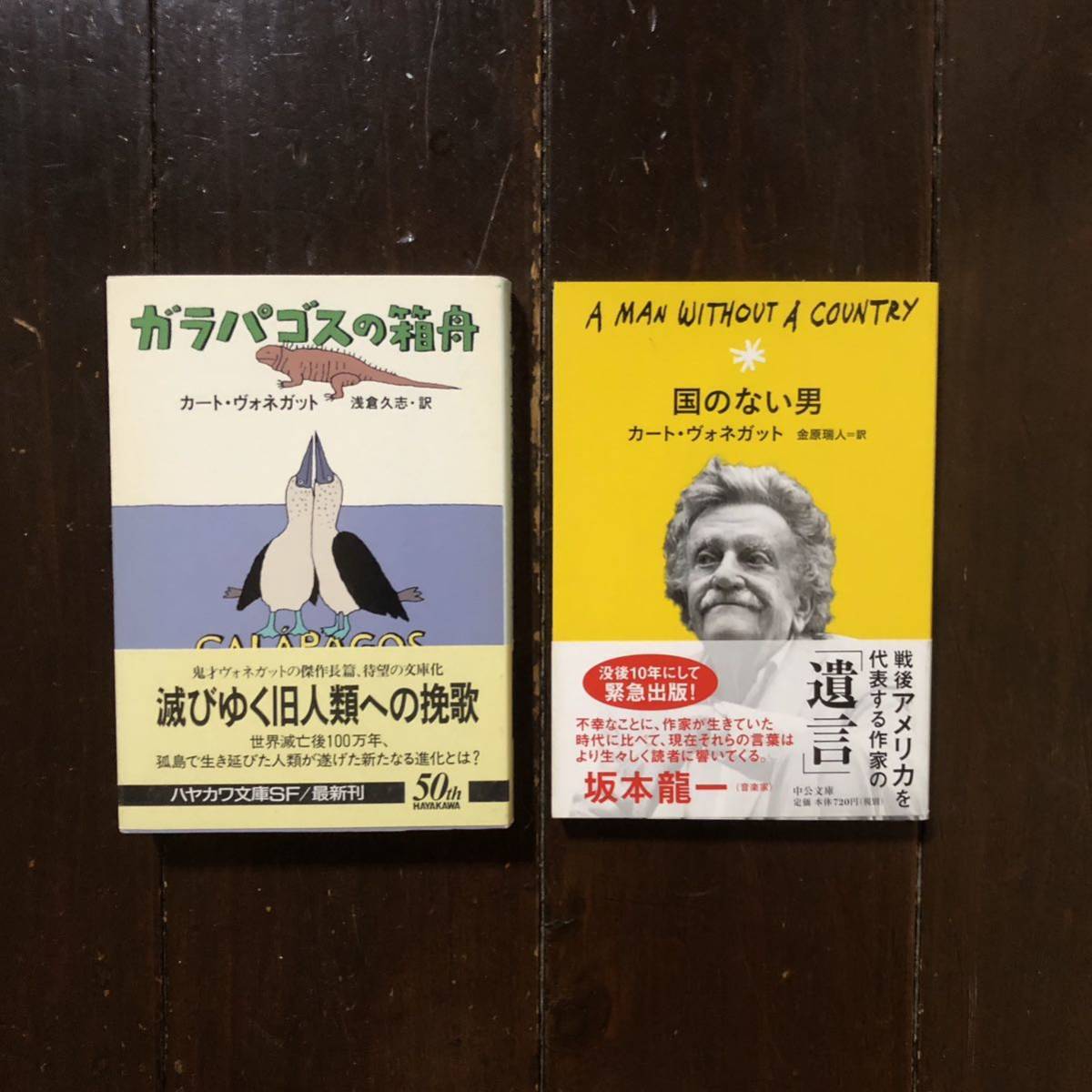 初版 カート ヴォネガット/国のない男 ガラパゴスの箱舟★文学 思想 哲学 文明 諷刺 SF 社会批判 ユーモア 不条理 アイロニー 戦争 随筆_画像1