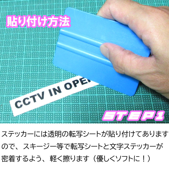 【送料無料】ベトナム語ステッカー カッティングタイプ 防犯カメラ作動中 黒文字版 アジアン雑貨_画像3