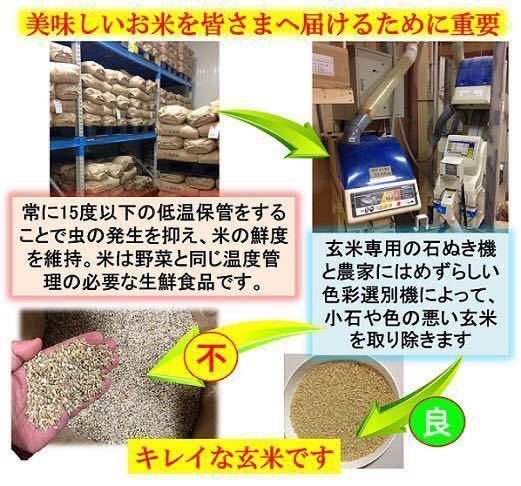 令和5年産 減農薬 新潟こしひかり白米10kg 新潟県三条市旧しただ村産 新潟県認証 特別栽培米100% 本物 グルテンフリー 送料無料の画像4