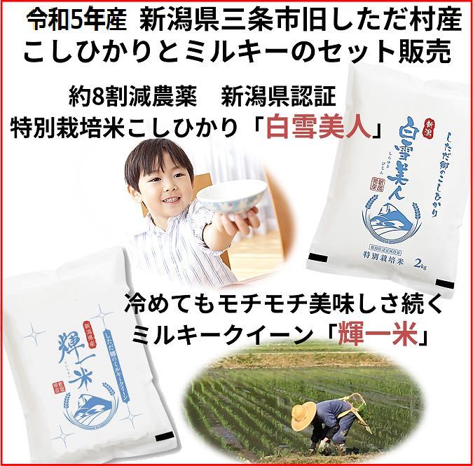 . peace 5 year production . pesticide Niigata ..... white rice 2kg. Milky Queen white rice 2kg Niigata prefecture three article city old . however, . production Special . rice ... Mill key together 100% genuine article 