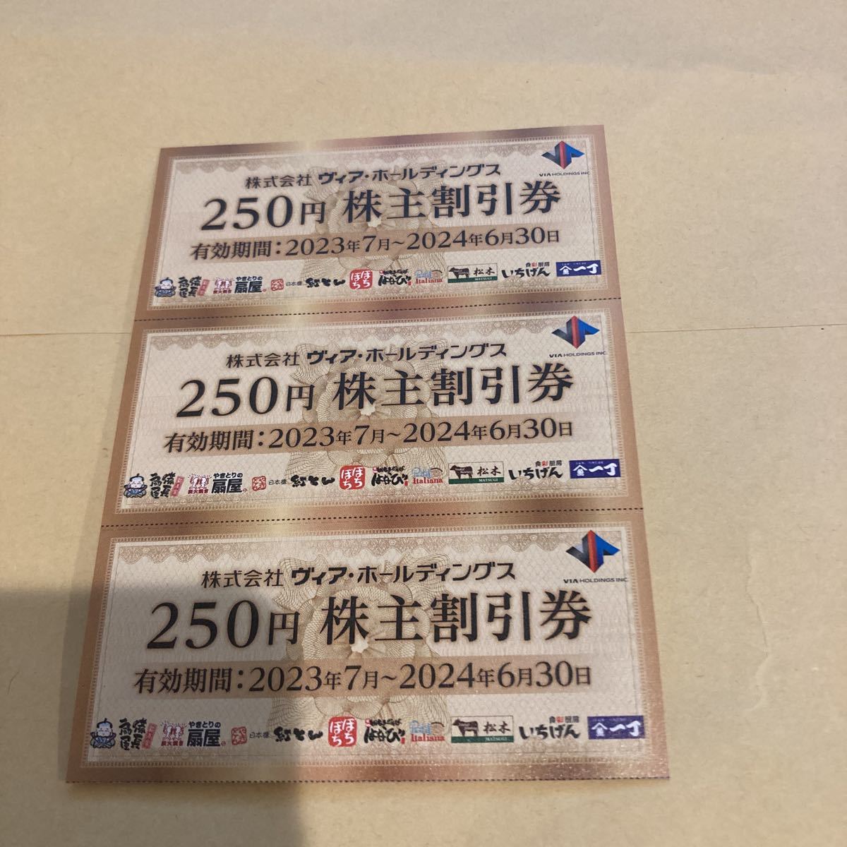 【ヴィアホールディングス】株主優待券250円3枚　750分　2024年6月末期限_画像1