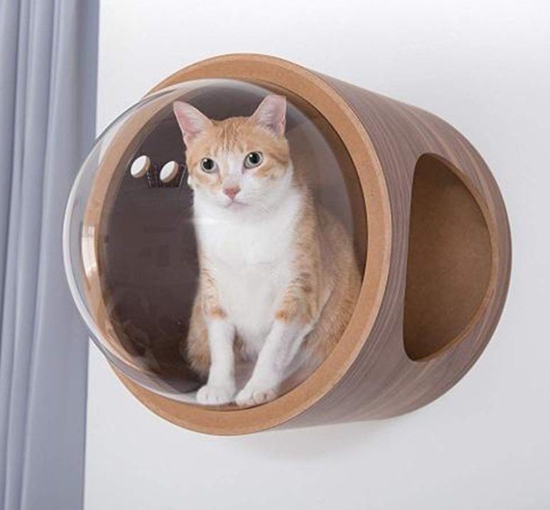 特売 人気推薦 猫 キャットウォーク キャットステップ ベッド ハウス 壁付け 天然木 宇宙