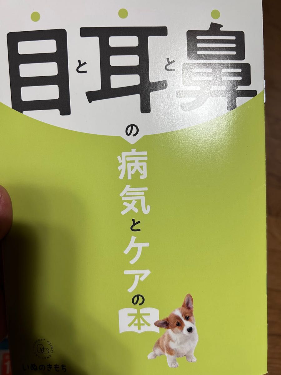 いぬのきもち　7月号　お世話　病気　しつけ　本