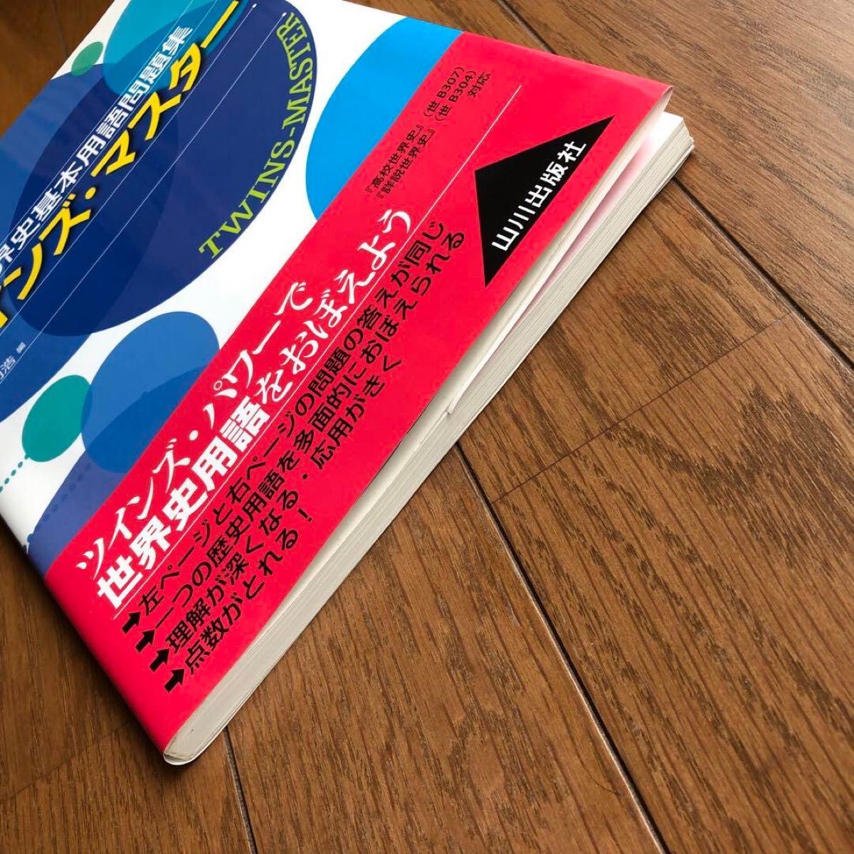 【未使用】世界史B 高校世界史基本用語問題集 ツインズ・マスター 山川出版社