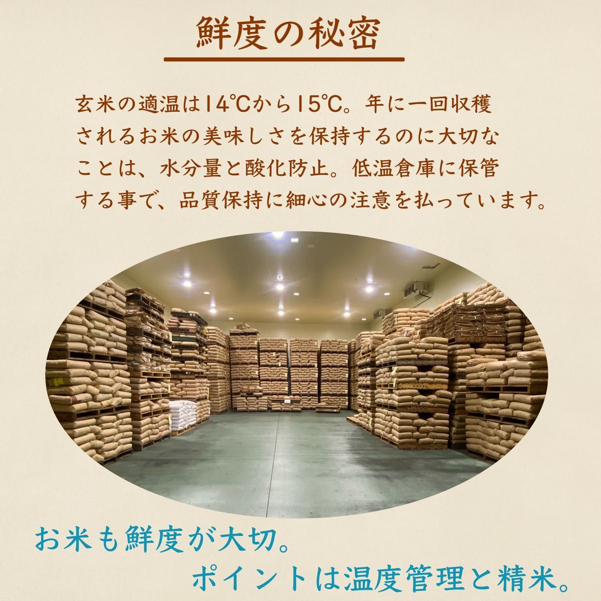 残りわずか》着色米 くず米 25kg 米・雑穀 鳥の餌 飼料 お得 残りわずか》着色米 くず米 25kg 米・雑穀 鳥の餌 飼料 お得