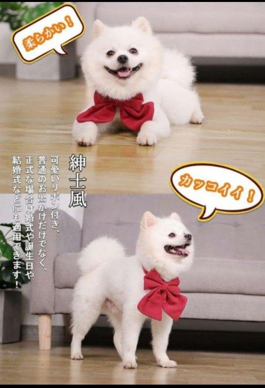 犬用首輪 ペット首輪 リボン付き 調節可能 布製 紳士風 貴族風 ペット用品