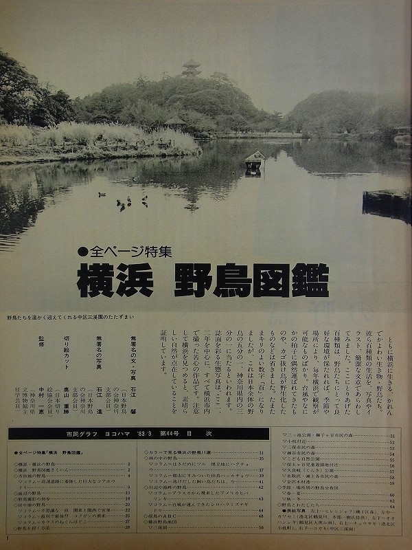 E37【 横浜情報 雑誌 】市民グラフ ヨコハマ 1983 No.44 全ページ特集:横浜 野鳥図鑑 カラーで見る横浜の野鳥11選 横浜野鳥地図