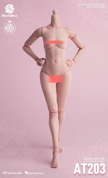 WorldBox AT203 1/6スケール女性素体 女性ボディ 素体 ボディメイク付き 薄麦色肌 モデル体型　（検　tbleague Phicen デッサン