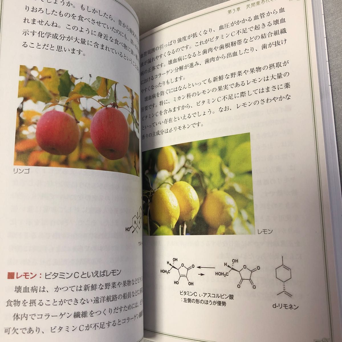 民間薬の科学　病気やケガに効く……民間の言い伝えはどこまで科学的か！？ （サイエンス・アイ新書　ＳＩＳ－３４５） 船山信次／著