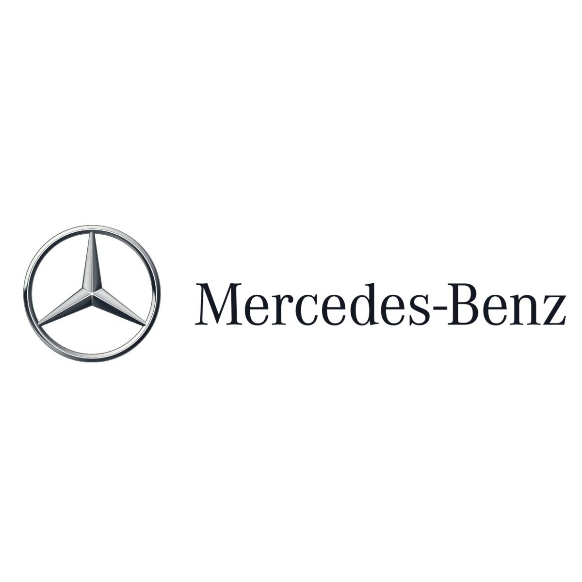 AMG メルセデスベンツ Mercedes Benz ランヤード ネックストラップ PETRONAS ペトロナス 黒 ブラック hf_画像10