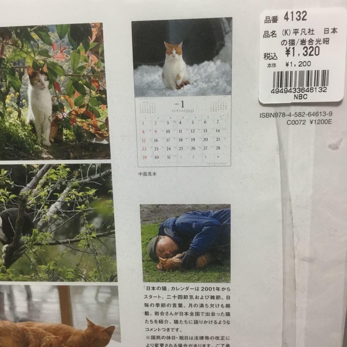 岩合光昭 写真集2冊＆2023年カレンダー　猫ネコ_画像3