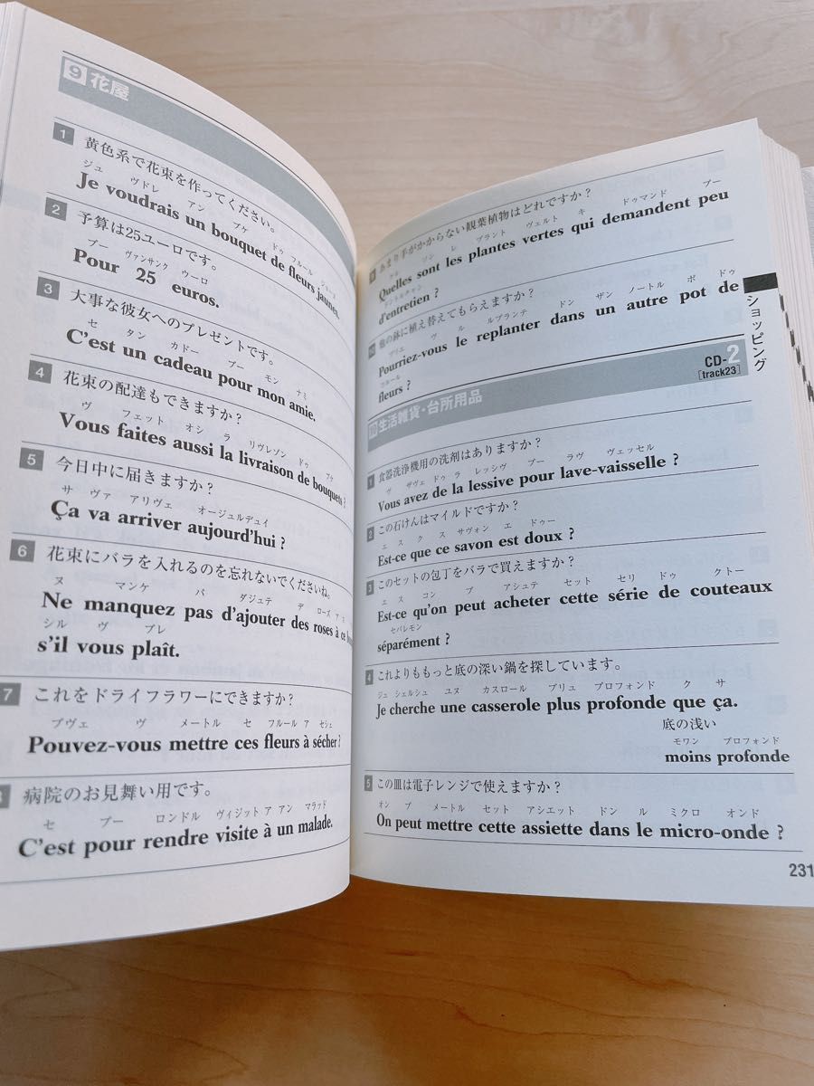フランス語　会話フレーズブック　すぐに使える日常表現2900