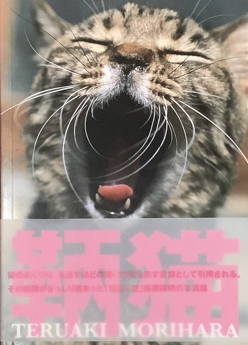 〔5J4A〕鞆の浦　あくび猫_画像1