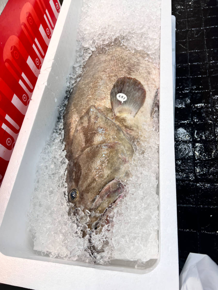 k Eara примерно 15~20kg.. иллюзия. рыба супер высококлассный рыба sashimi кастрюля соль жарение . лет . праздник подарок 