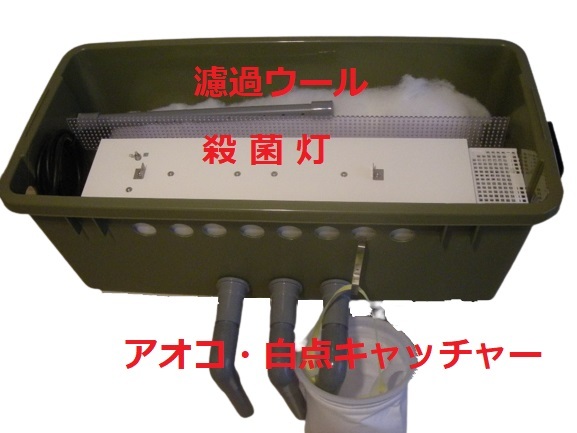 池対応 殺菌灯BOX ワイドセット 殺菌灯30W ポンプ プレ 池対応 殺菌灯BOX ワイドセット 殺菌灯30W ポンプ プレ