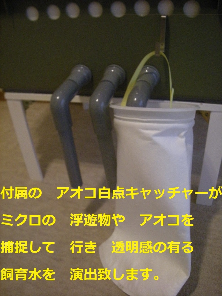 池対応 殺菌灯BOX ワイドセット 殺菌灯30W ポンプ プレ 池対応 殺菌灯BOX ワイドセット 殺菌灯30W ポンプ プレ