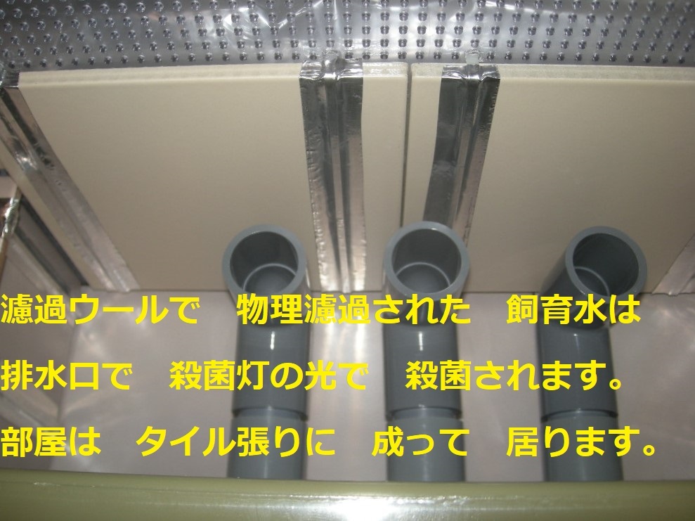 池対応 殺菌灯BOX ワイドセット 殺菌灯30W ポンプ プレ 池対応 殺菌灯BOX ワイドセット 殺菌灯30W ポンプ プレ