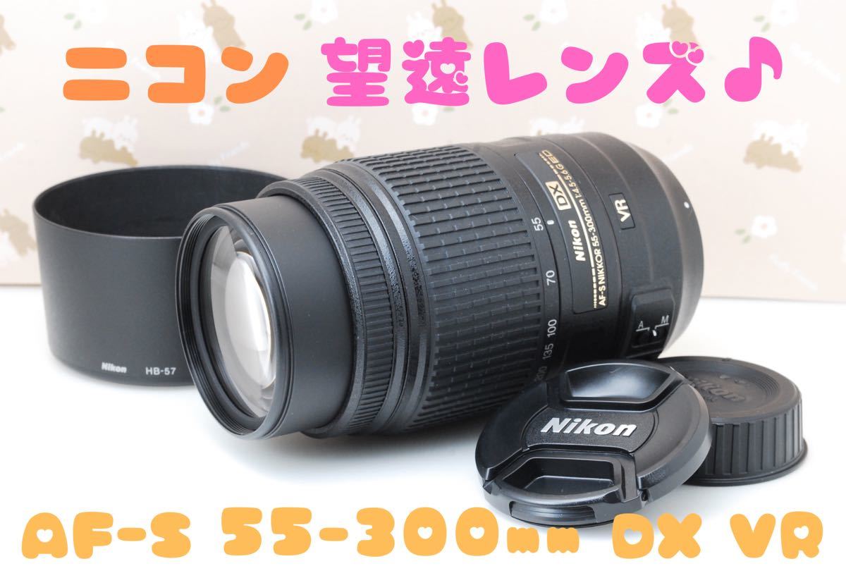 Nikon AF-S NIKKOR 55-300mm VR 望遠レンズ-