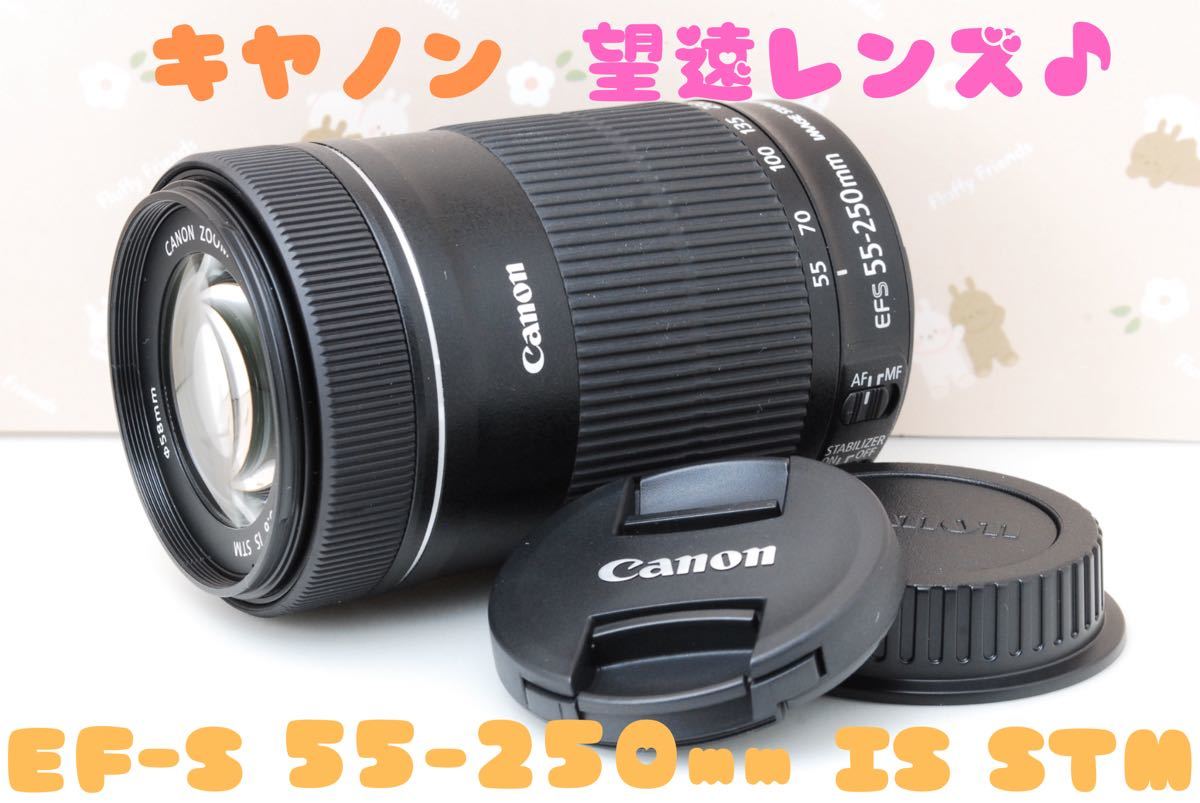 国内配送】 美品☆望遠レンズ☆Canon EF-S 55-250mm F4-5.6 IS STM