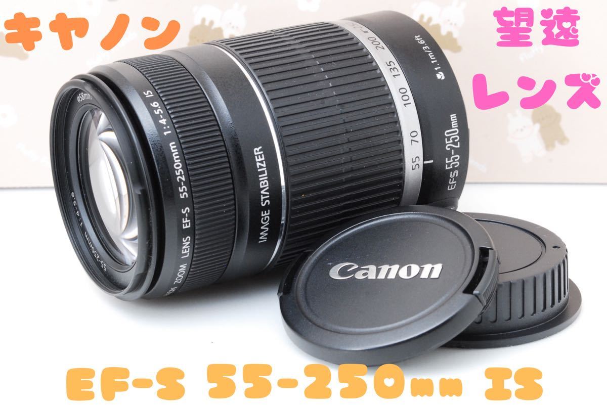 美品 望遠レンズ Canon EF-S 55-250mm F4-5 6 IS 秋冬のお出かけやご