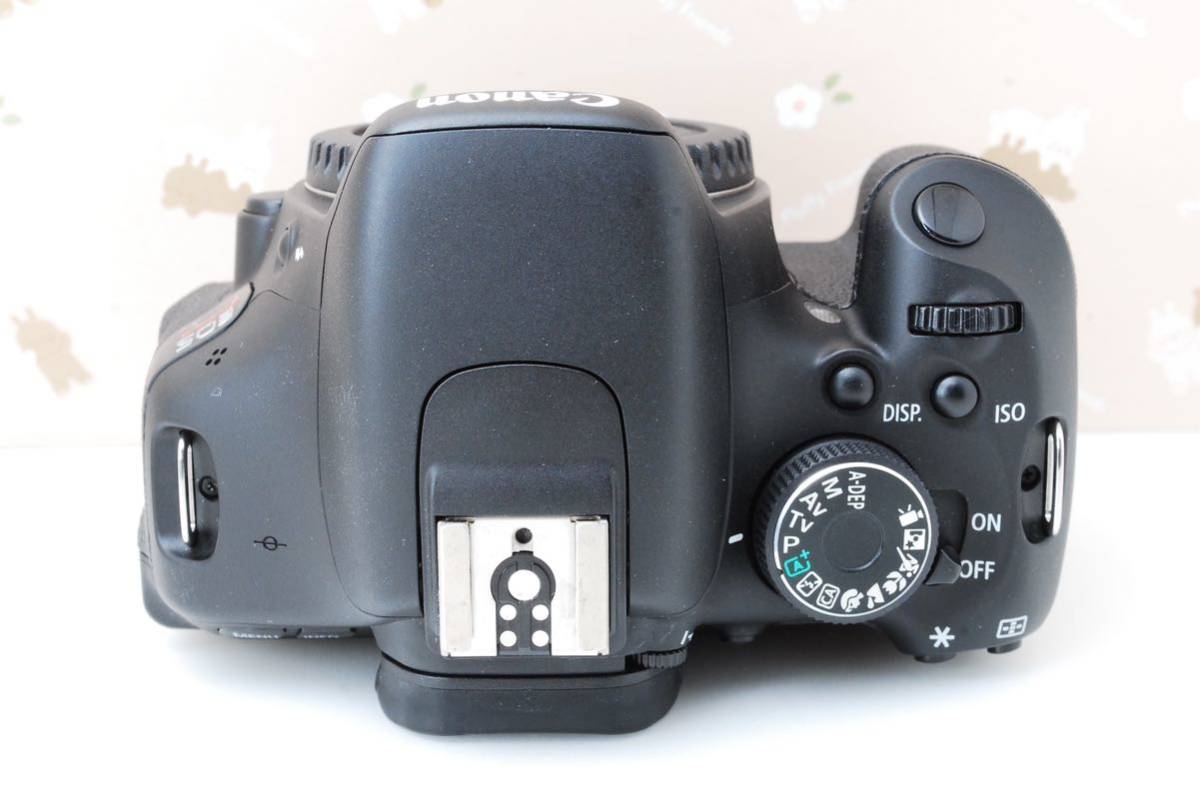Canon eos Kiss X5 近〜中距離対応レンズつき スマホ転送OK 自撮りOK