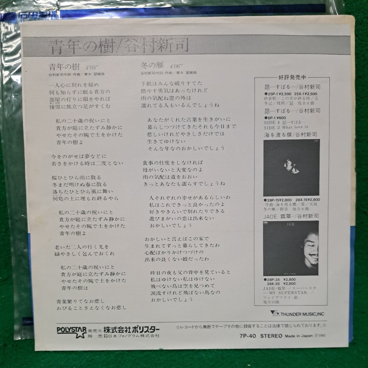 即決 谷村新司 青年の樹 EPレコード B面 冬の雁 ジャケット違い 送料140円_画像3
