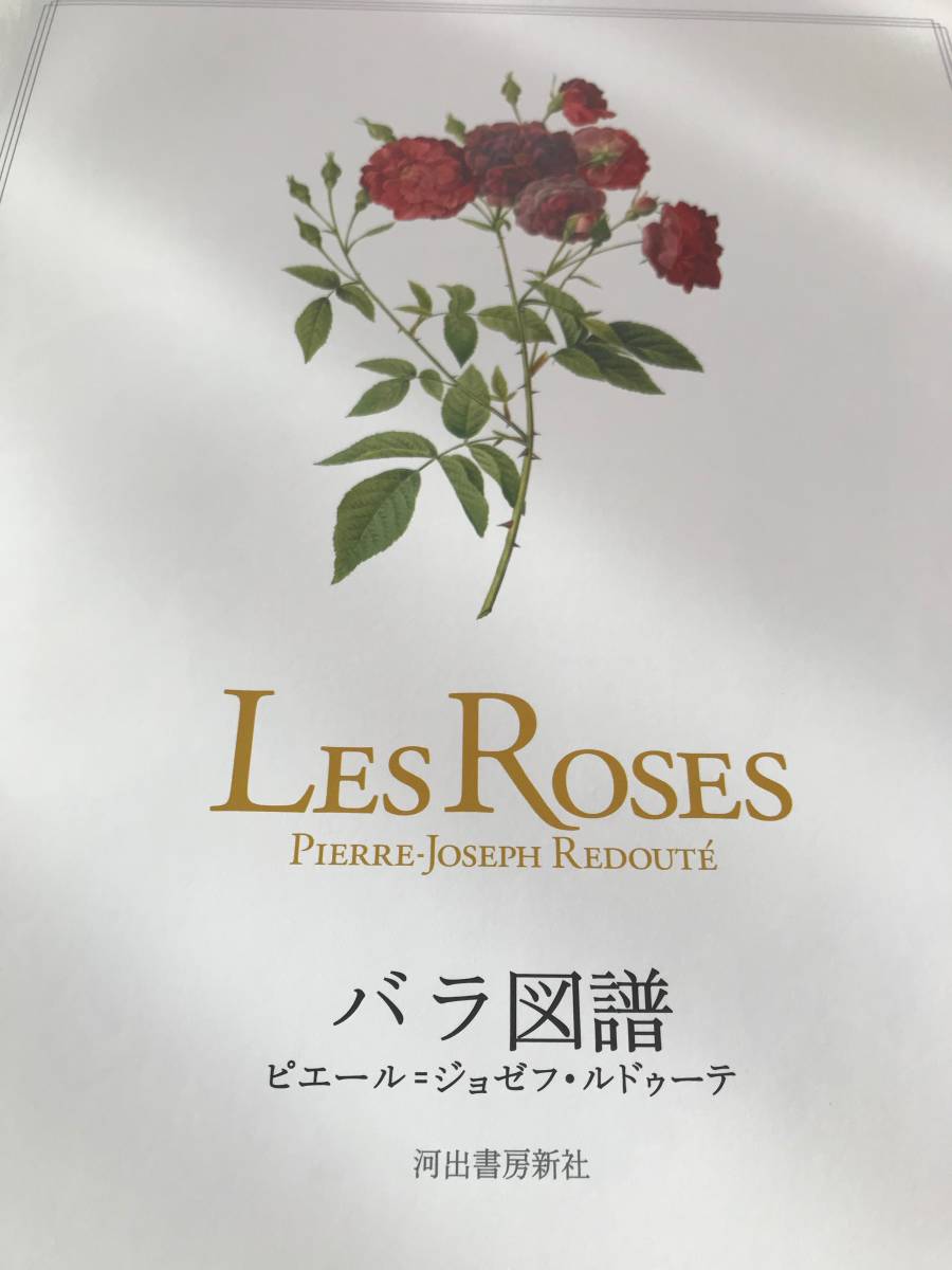 Les Roses バラ図譜 大型本 ルドゥーテ 河出書房新社 バラ