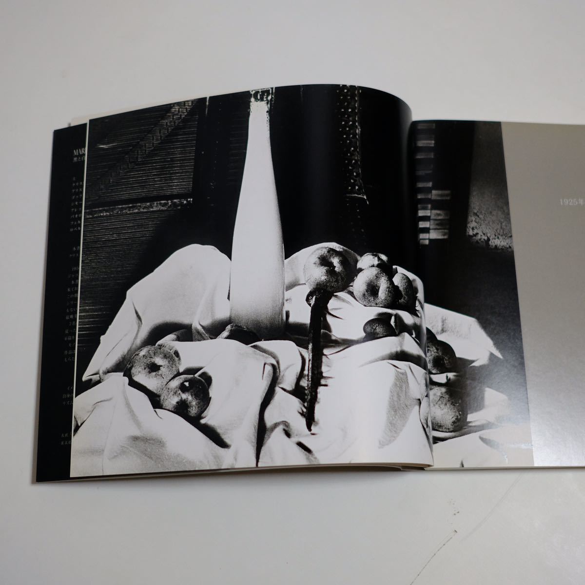 MARIO GIACOMELLI 黒と白の往還の果てに (新装版) 写真集　マリオ・ジャコメッリ_画像10