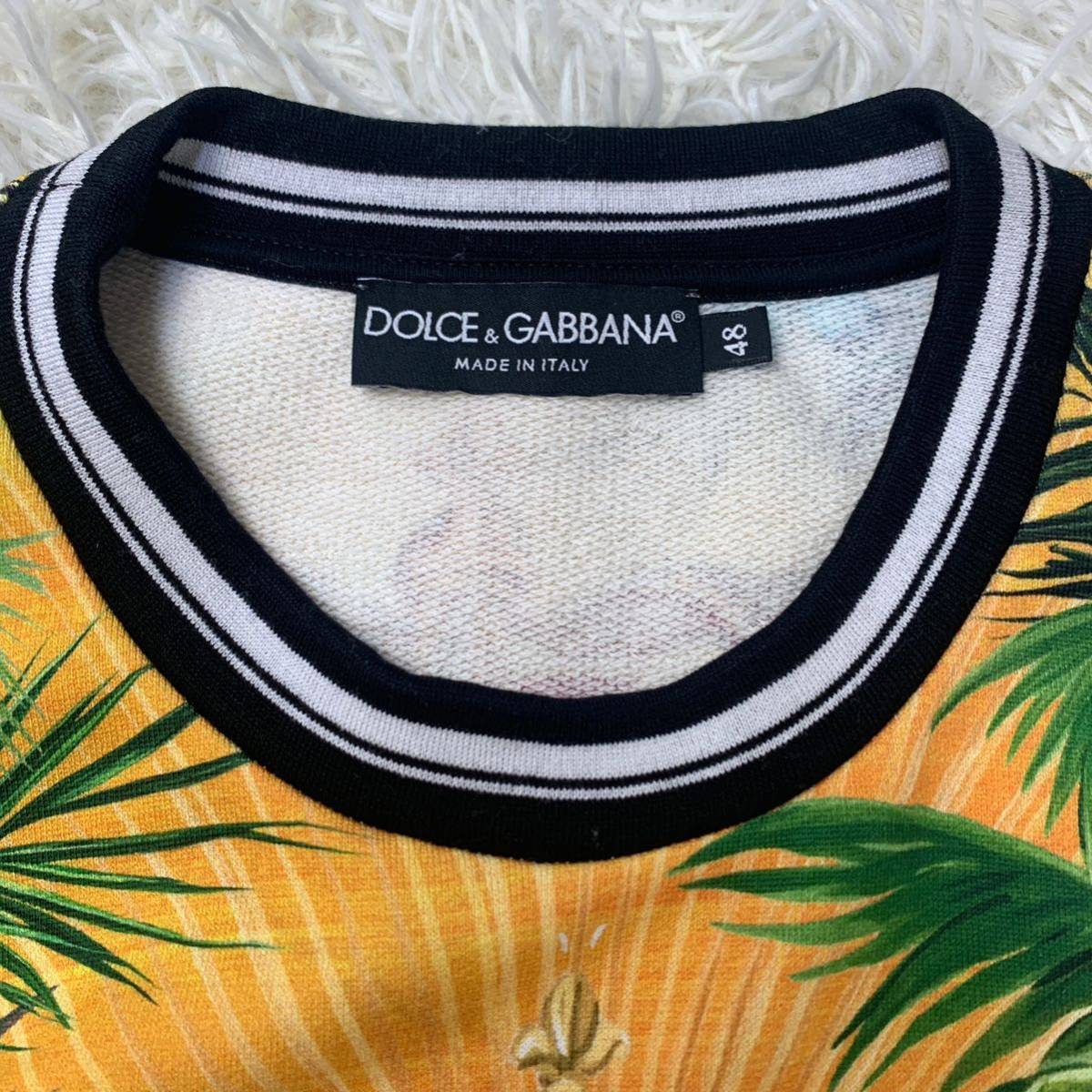 DOLCE&GABBANA ドルチェ＆ガッバーナ　クラウン　アニマル柄　スウェット　総柄　動物柄　王冠柄　48 L ロゴ　マルチカラー　長袖_画像2