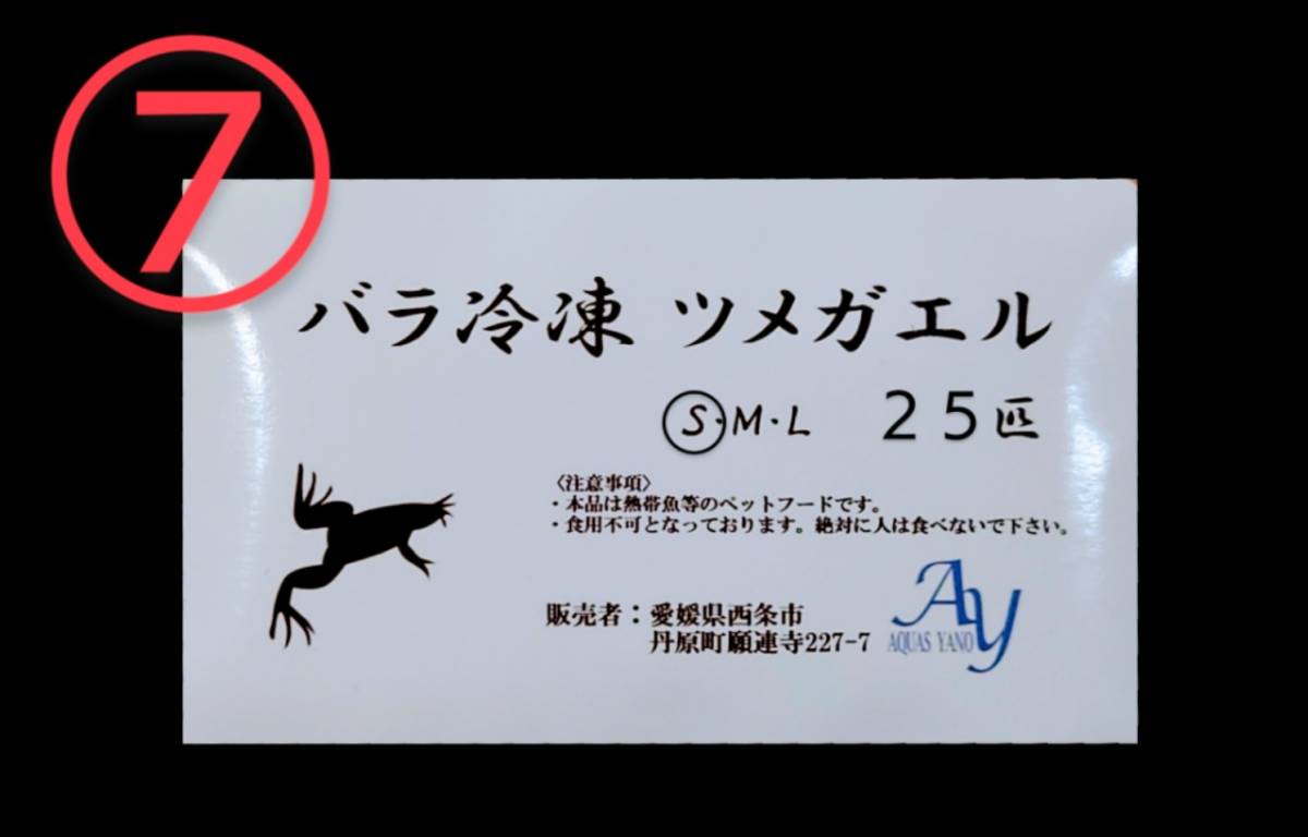 【 送料無料 】オリジナル バラ冷凍餌 よりどり３パックセット どじょう いかなご きびなご 淡水エビ サザエビ 豚ハツ ツメガエル _画像7