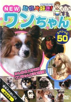 動物大好き!NEW ワンちゃん スペシャル 50 レンタル落ち 中古 DVD_画像1