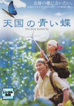 天国の青い蝶 レンタル落ち 中古 DVD_画像1