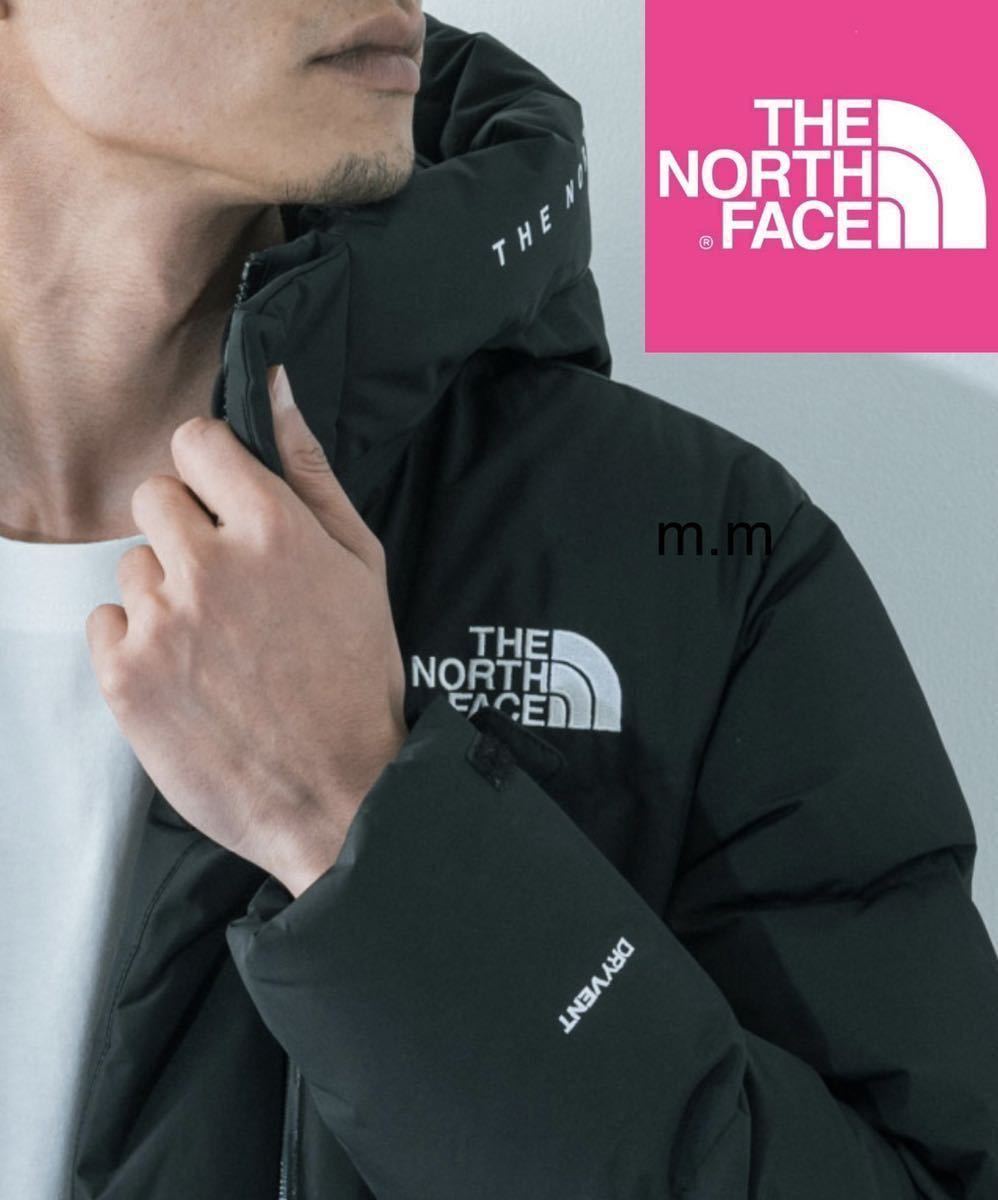 THE NORTH FACE THE NORTH FACE ノースフェイス ダウンジャケット ダウンコート フリームーブ　Lメンズ レディース バルトロ ヌプシ 韓国_画像3