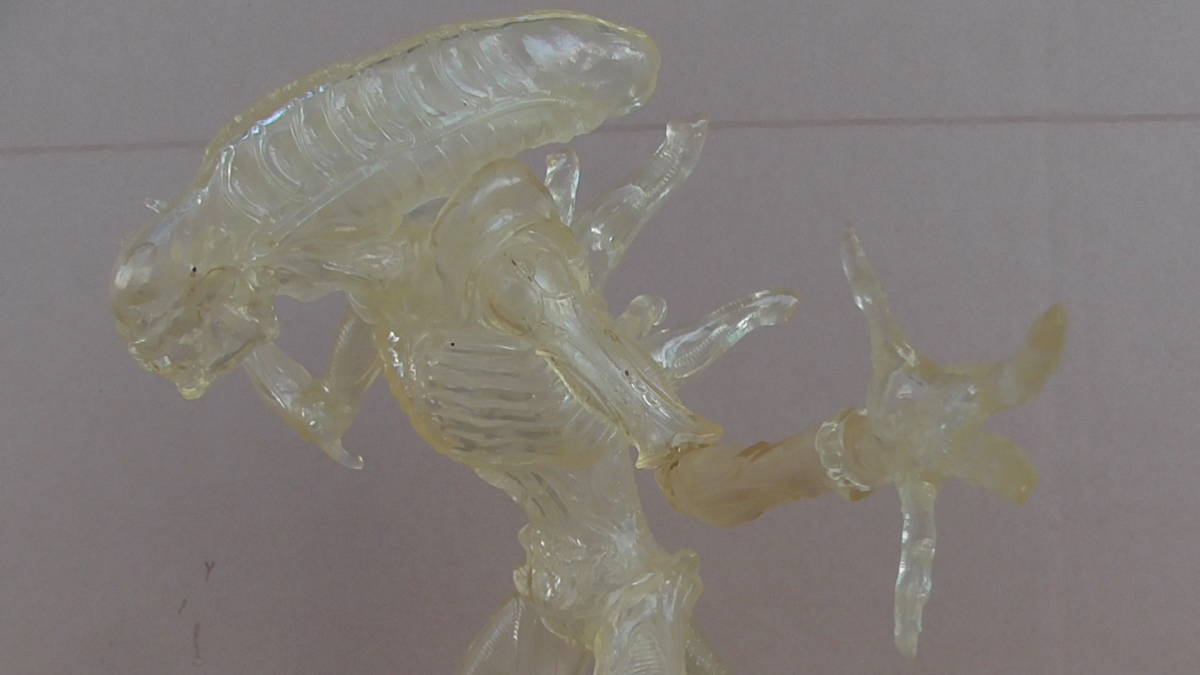 エイリアン プレデター 限定?クリア 透明 ALIEN VS PREDATOR エイリアン プレデター 限定?クリア 透明 ALIEN VS PREDATOR