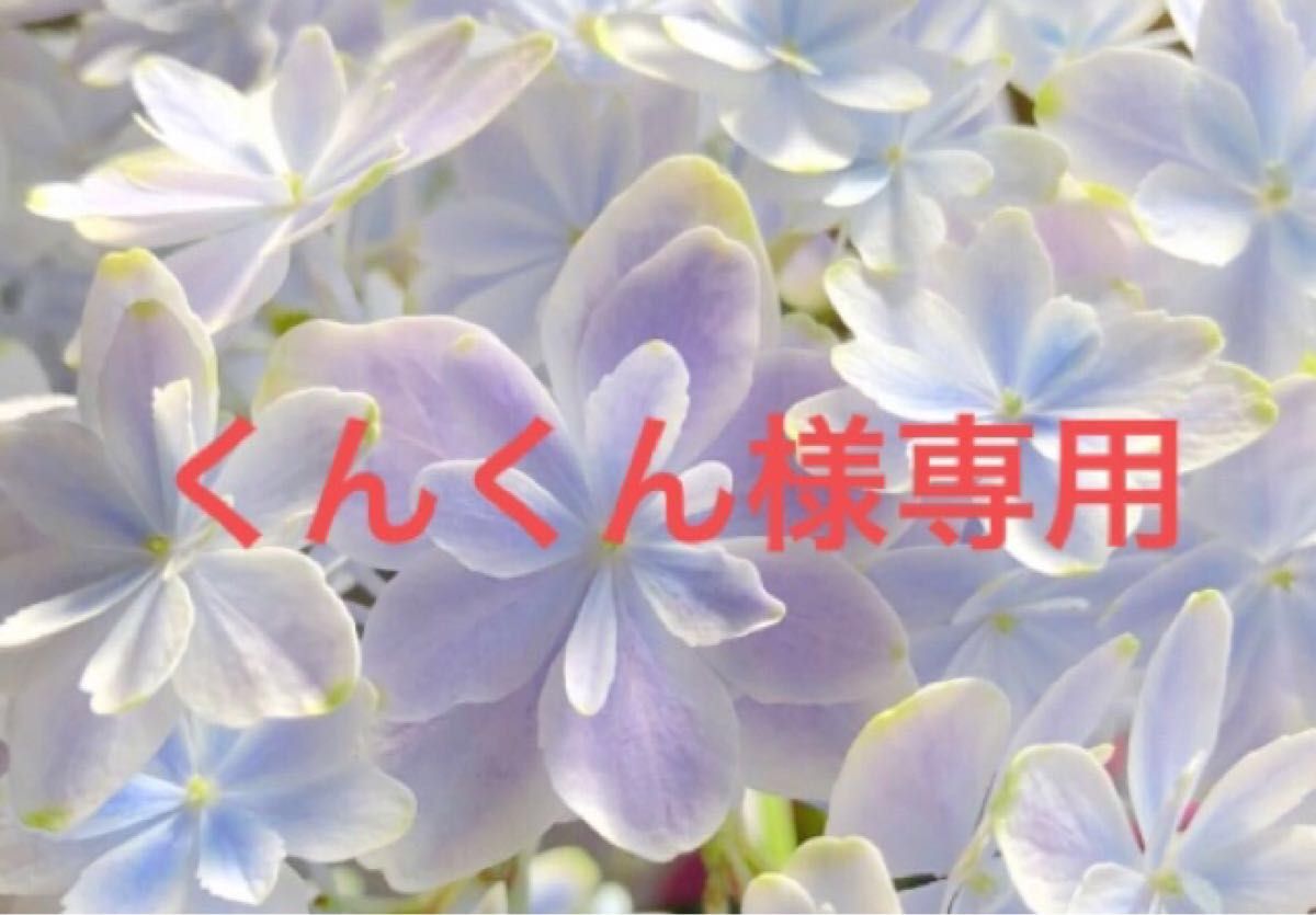 くんくん様専用(その2)|Yahoo!フリマ(旧PayPayフリマ)