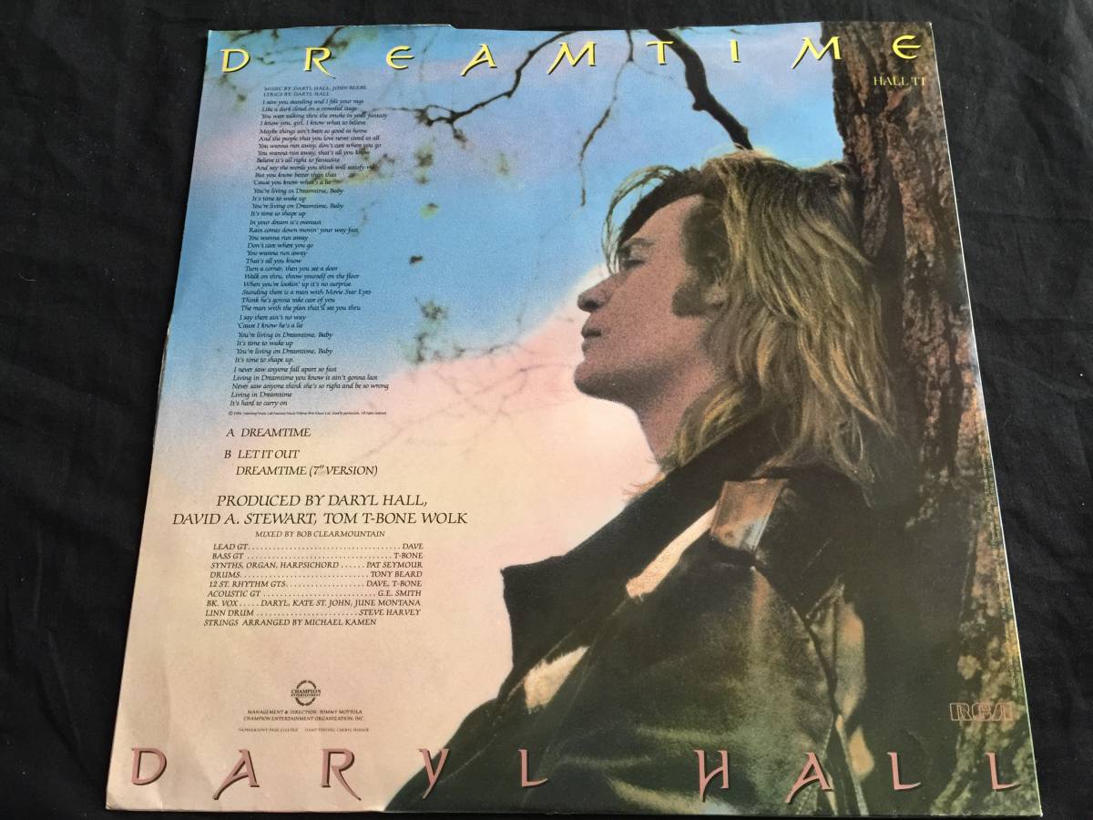 ★Daryl Hall / Dreamtime 12EP ★qsoc3★の画像4