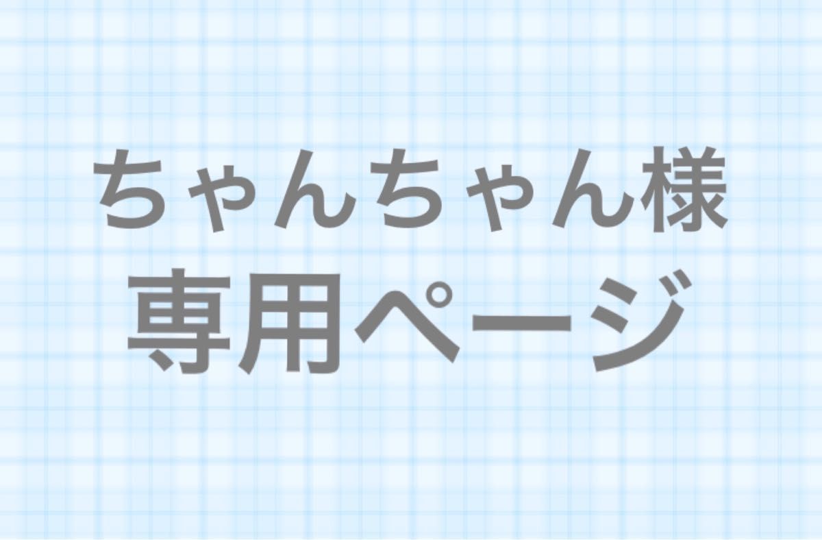 ちゃんちゃん様専用ページ｜PayPayフリマ