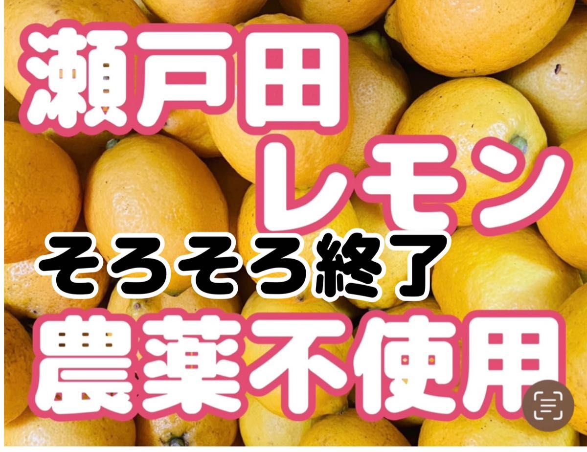 国産瀬戸田レモン農薬不使用