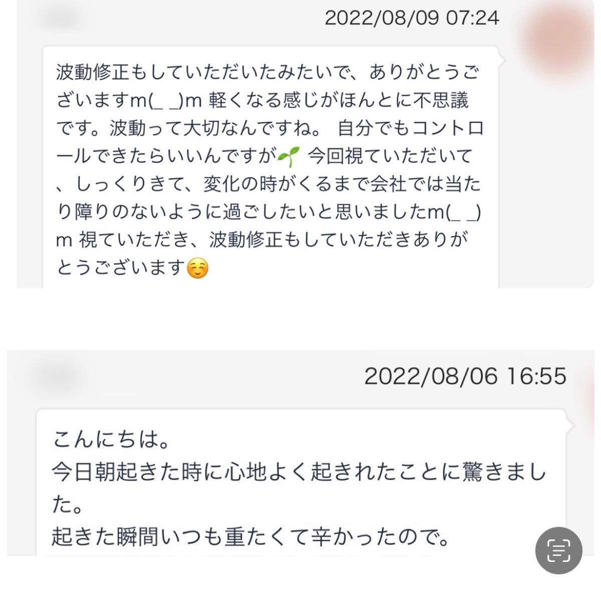 恋愛　結婚　仕事　お金　健康＊波動修正　最強のお守り　ヌーマイト　ヒーリング　恋愛　仕事　お金　邪気払い　魔除け　グリーンランド産